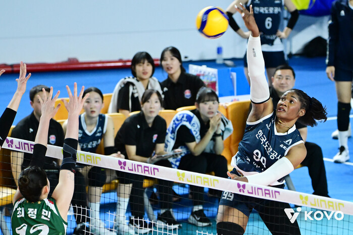 '모마 35점' 한국도...